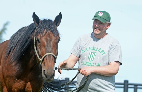 Ulf Stenströmer med sin stjärna Handsome Brad. Foto: Malin Albinsson, TR Bild